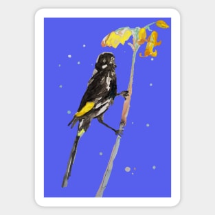 Australian Honeyeater Bird Painting - New Holland on Navy Sticker